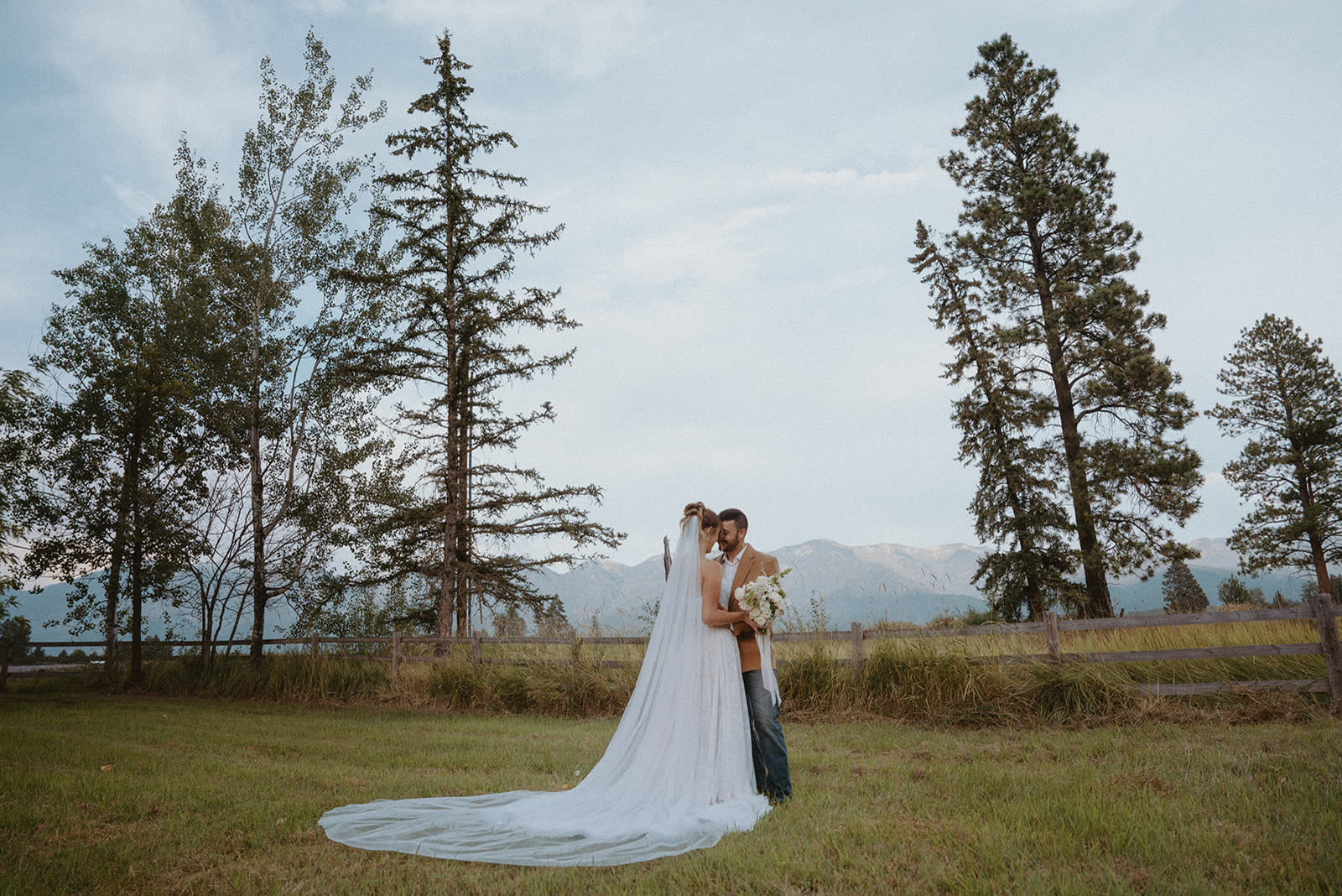 First look under a big pine with mountains behind