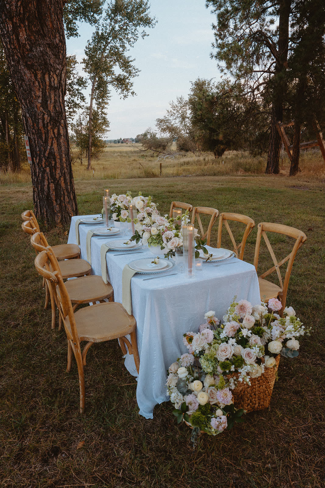 Farm table set with blush florals and crossback chairs in an open Montana meadow