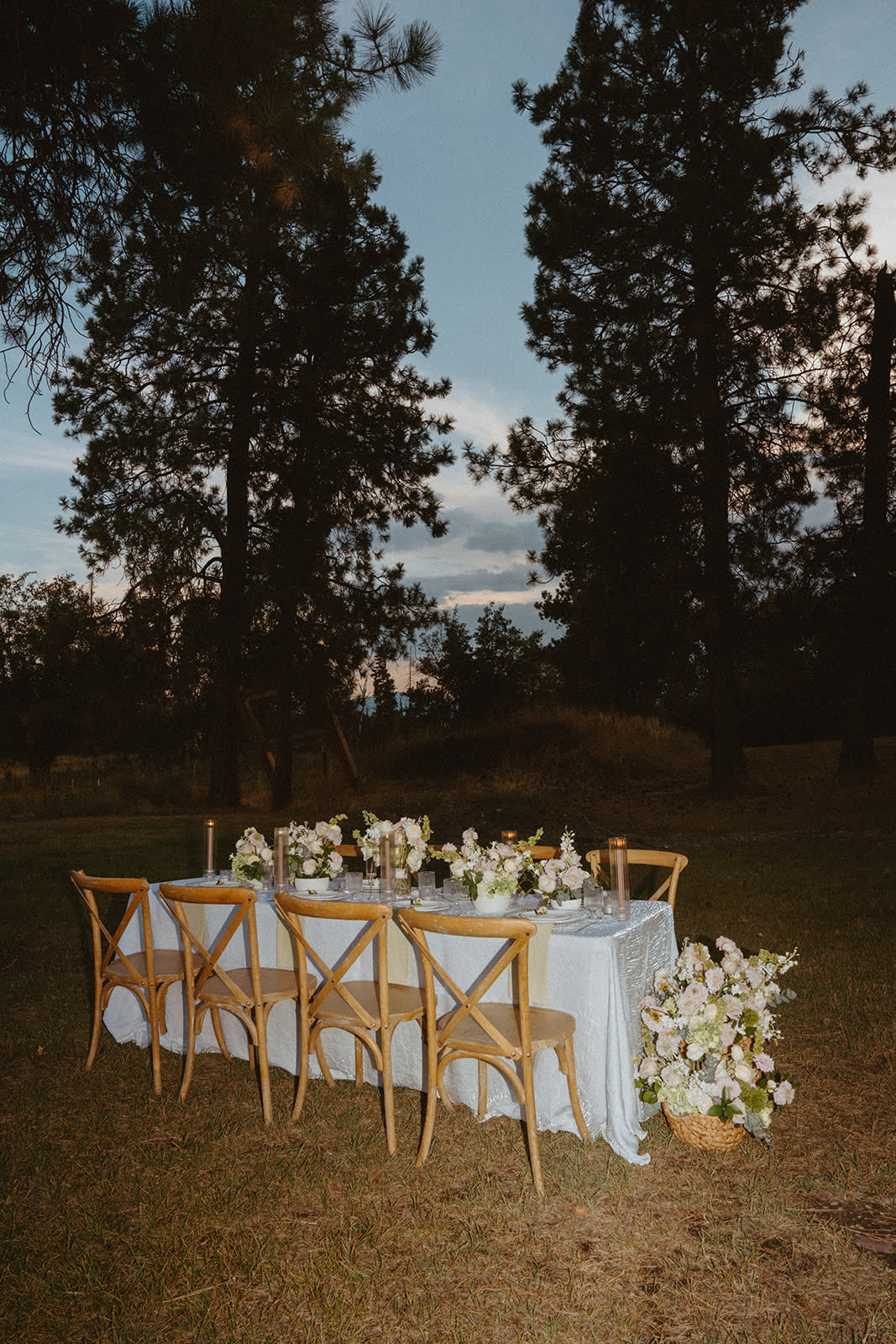 Candlelit farm table with crossback chairs set under tall pines at dusk