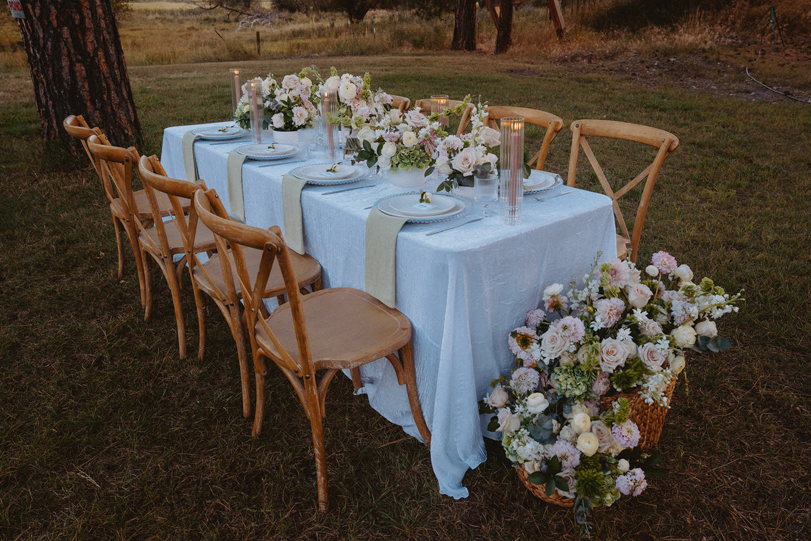 Long reception table with white linens and crossback chairs set under the pines