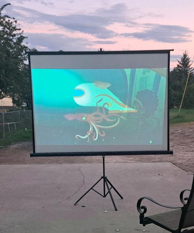 Projector Screen available to rent from Celebrate